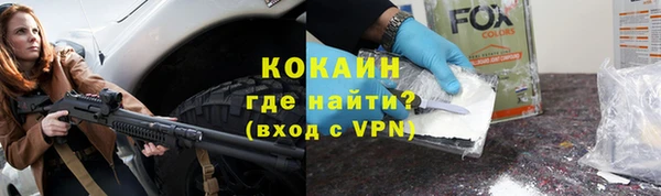 гидра Покачи