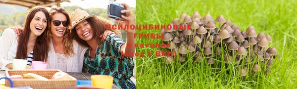 эйфоретик Арсеньев
