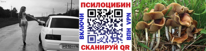 Псилоцибиновые грибы мухоморы  дарнет шоп  Теберда 